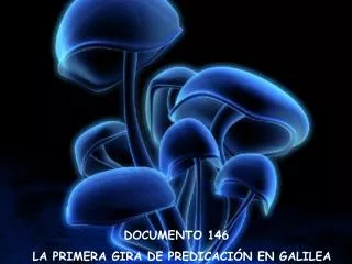 documento 146