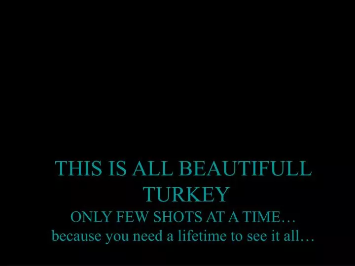 this is all beautifull turkey only few shots at a time because you need a lifetime to see it all