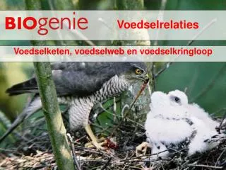 voedselrelaties