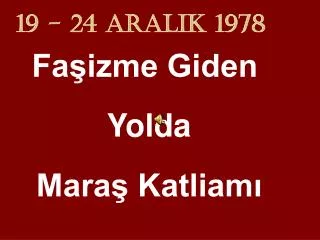 19 24 aralik 1978