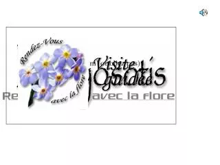 visite