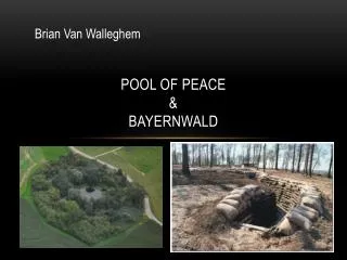 Pool of peace &amp; Bayernwald