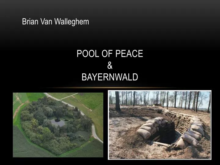pool of peace bayernwald