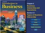 Exploring Business Organizations: Advantages and Disadvantages - slide 1