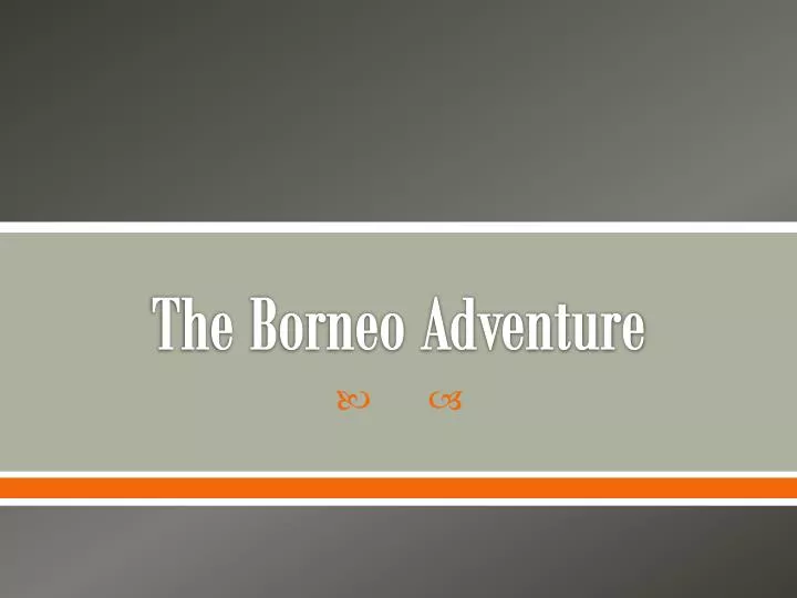 the borneo adventure