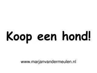 koop een hond