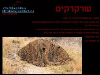 slide1