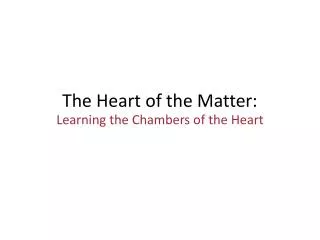 The Heart of the Matter: