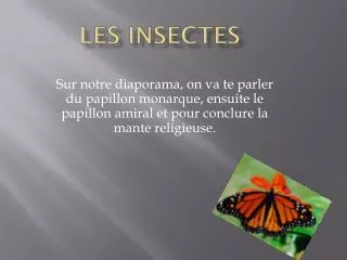 les insectes