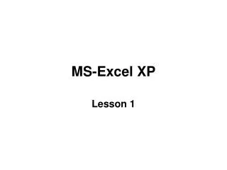 MS-Excel XP