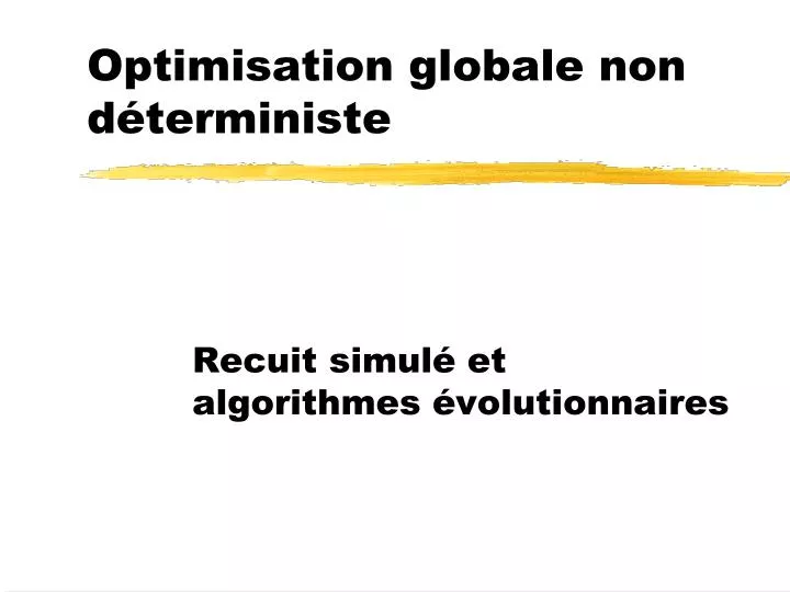 optimisation globale non d terministe