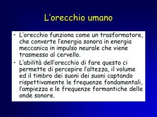 l orecchio umano