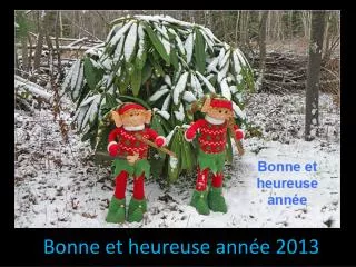j bonne et heureuse ann e 2013