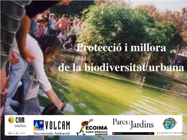 protecci i millora de la biodiversitat urbana