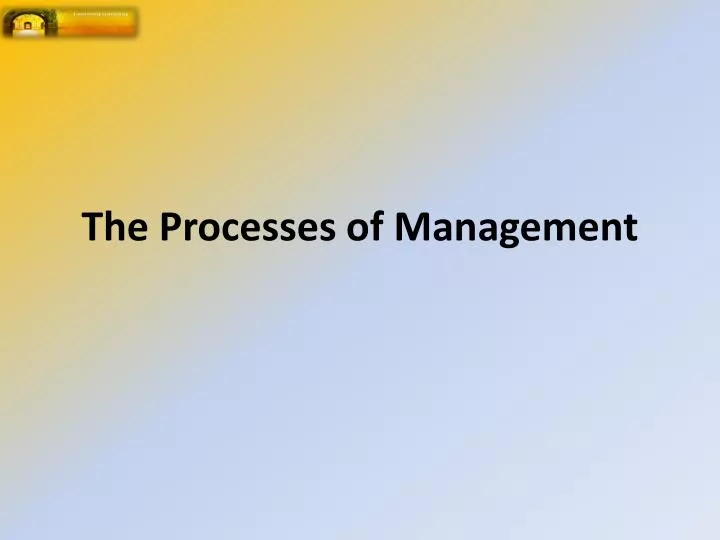 the processes of management