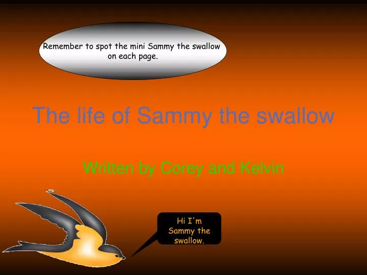 the life of sammy the swallow