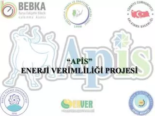ap s enerj ver ml l projes