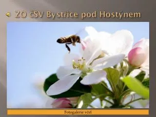 zo sv byst ice pod host nem