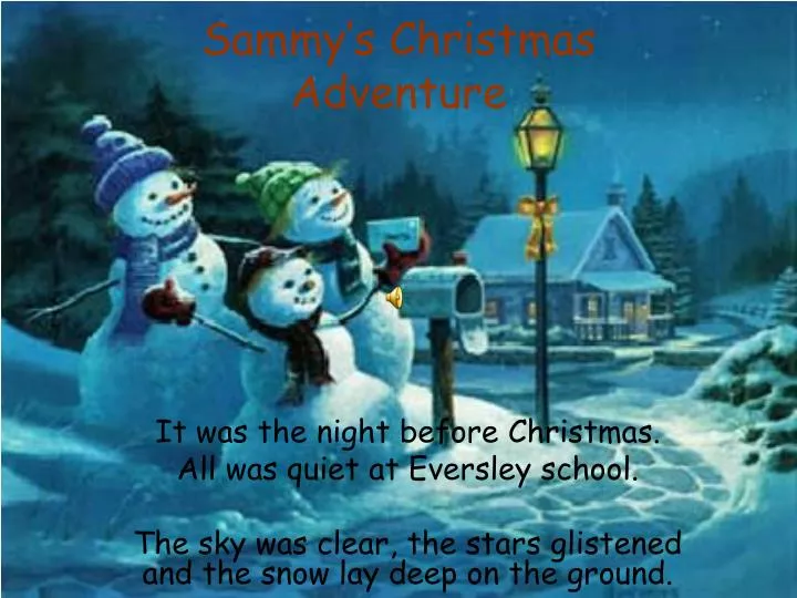 sammy s christmas adventure