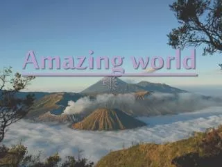 Amazing world
