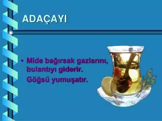 ada ayi