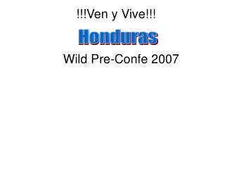 ven y vive wild pre confe 2007