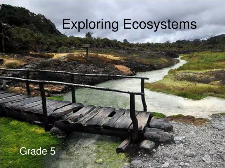 exploring ecosystems