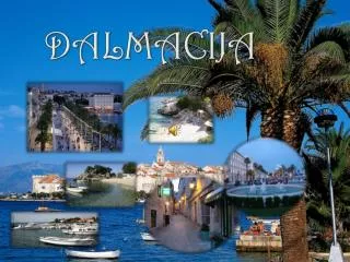 dalmacija