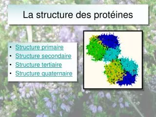 la structure des prot ines