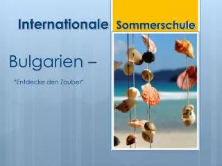internationale sommerschule