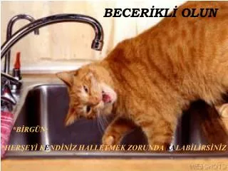 BECERİKLİ OLUN