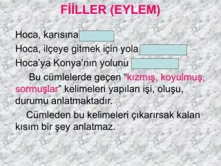 f ller eylem