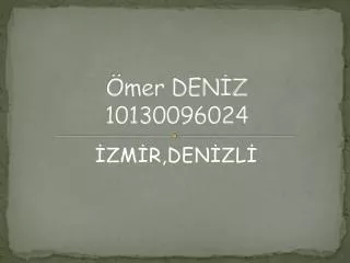 mer den z 10130096024