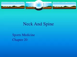 Neck And Spine