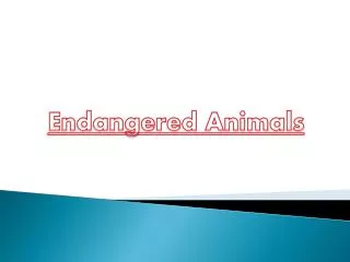 Endangered Animals