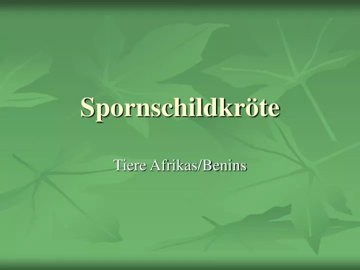 spornschildkr te