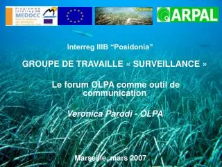 interreg iiib posidonia