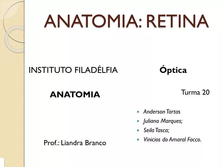 anatomia retina