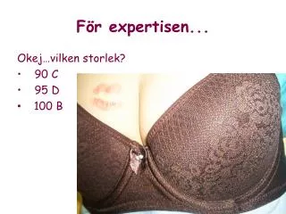 f r expertisen