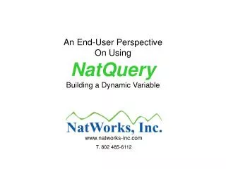 An End-User Perspective On Using NatQuery Building a Dynamic Variable