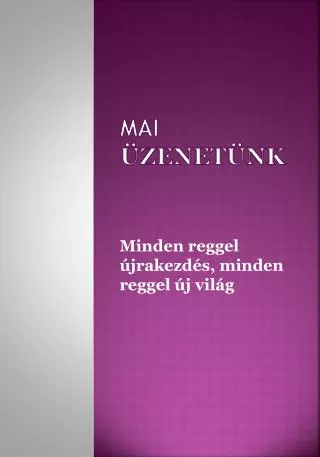mai zenet nk
