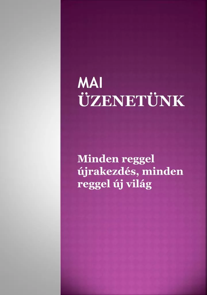 mai zenet nk