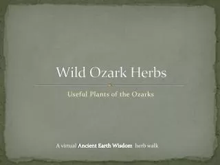 Wild Ozark Herbs
