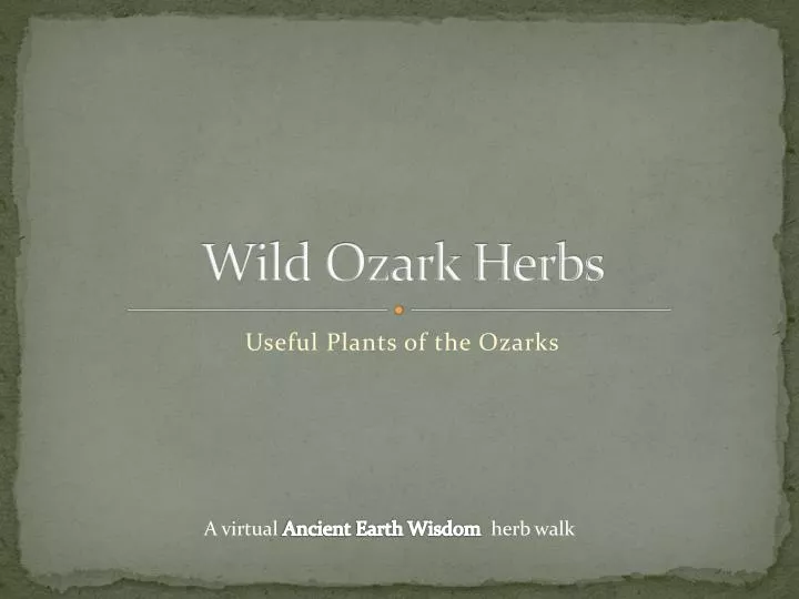 wild ozark herbs