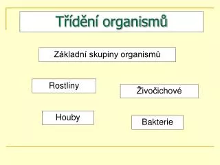 t d n organism