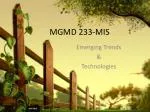 MGMD 233-MIS - slide 1