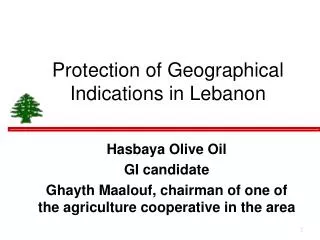 Protection of Geographical Indications in Lebanon