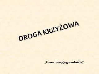 droga krzy owa
