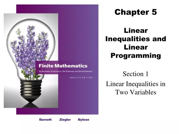 chapter 5 linear inequalities and linear programming