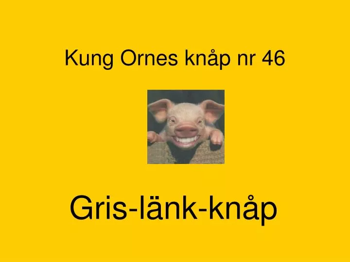 kung ornes kn p nr 46